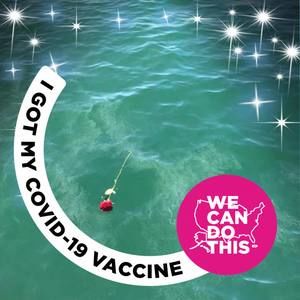 Meet your Posher, Liz